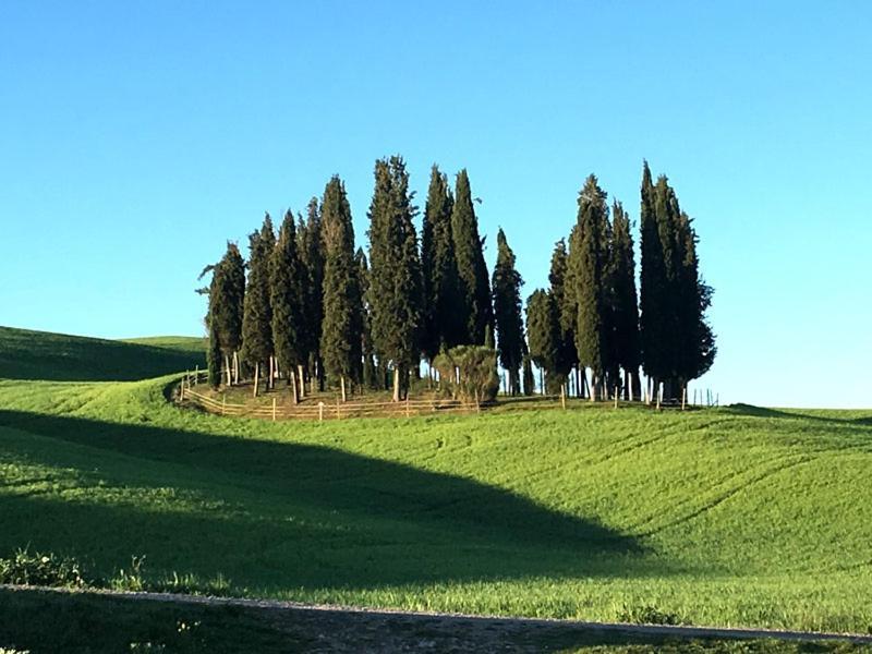 Finestra Sulla Val D'Orcia Διαμέρισμα San Quirico dʼOrcia Εξωτερικό φωτογραφία